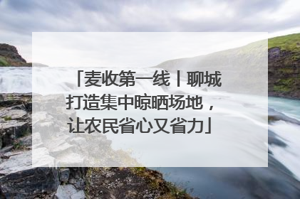 麦收第一线丨聊城打造集中晾晒场地，让农民省心又省力